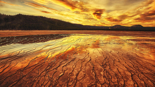 What is Earth Day?