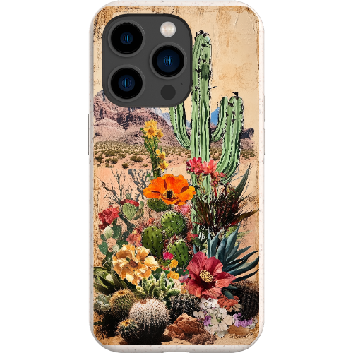 Vintage Desert Bio Case
