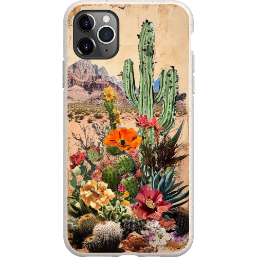 Vintage Desert Bio Case