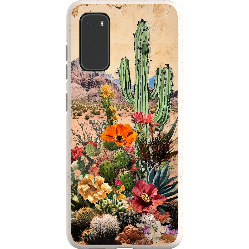 Vintage Desert Bio Case
