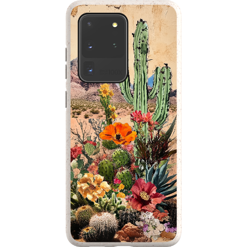 Vintage Desert Bio Case