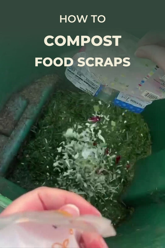 How To Compost Food Scraps; Results From One Week
