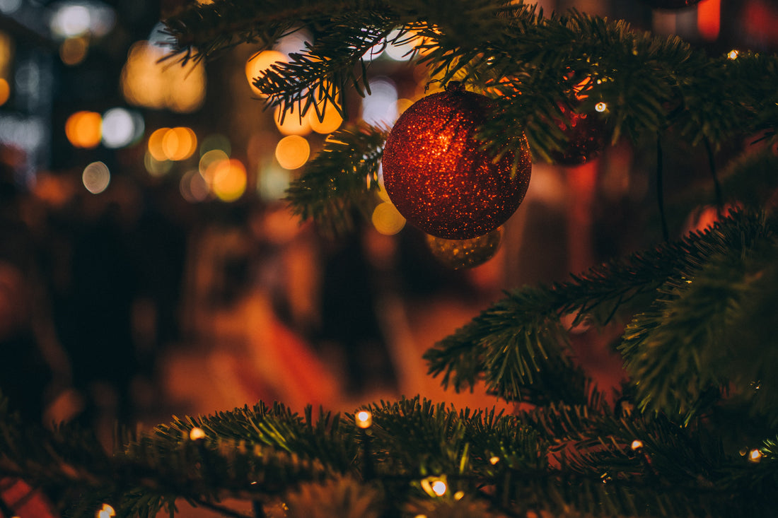 Eco-Friendly Living & Christmas Trees: A Pros and Cons List