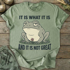 Printify T-Shirt It Is Not Great T-Shirt