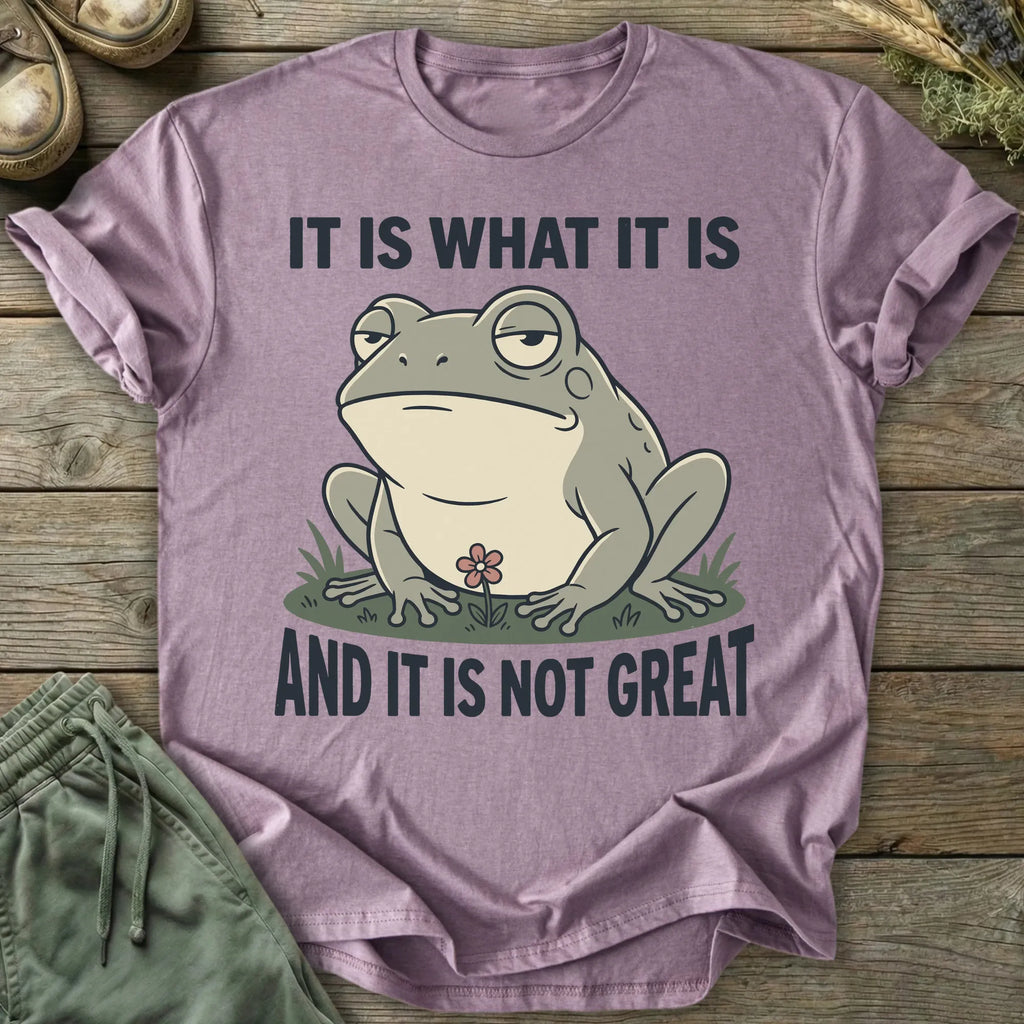 Printify T-Shirt It Is Not Great T-Shirt