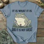 Printify T-Shirt It Is Not Great T-Shirt
