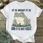 Printify T-Shirt It Is Not Great T-Shirt
