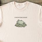Printify T-Shirt Overstimulated Frog T-Shirt